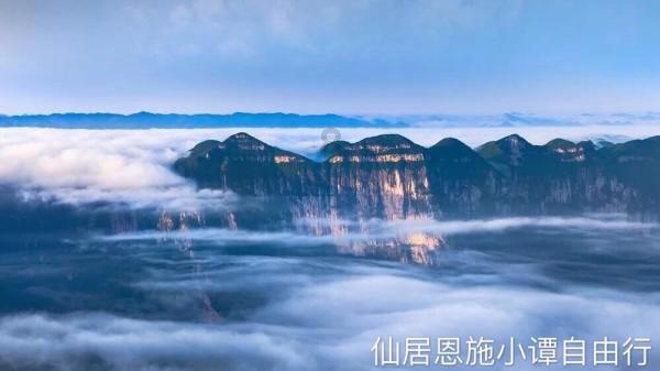 迷你淘气猪逃脱