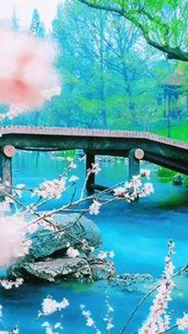 诺曼底44
